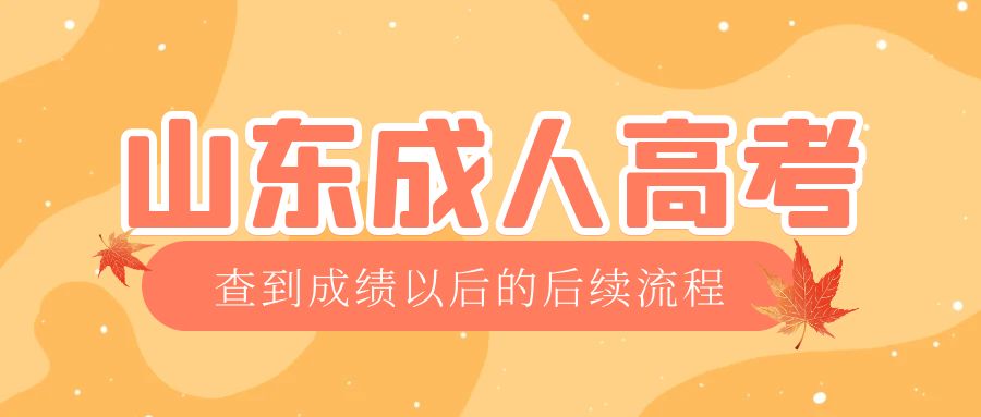 文登成考查完成绩以后做什么，文登成考网